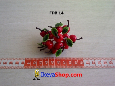 FDB 14  large2